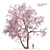 Cherry Blossom Tree Coll. 3D model small image 1