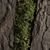 Displace Rock Wall Vertical Garden 3D model small image 4