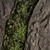 Displace Rock Wall Vertical Garden 3D model small image 5