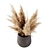 Lush Pampas Plant 3D Model 3D model small image 4