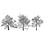 Detailed Plane Tree 3D Model 3D model small image 7