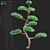 Elegant Juniperus niwaki Tree 3D model small image 1